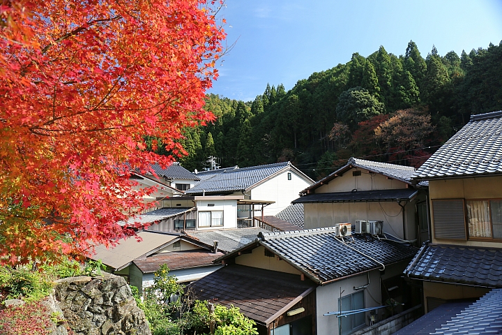 2018京阪神紅葉親子自由行