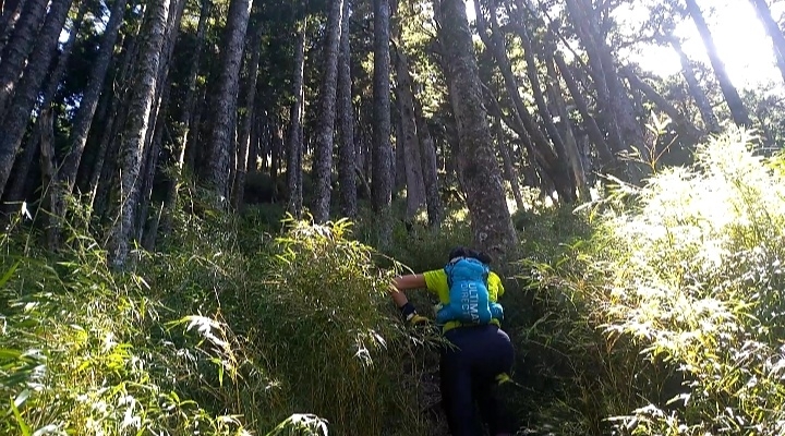 屏風山trail run