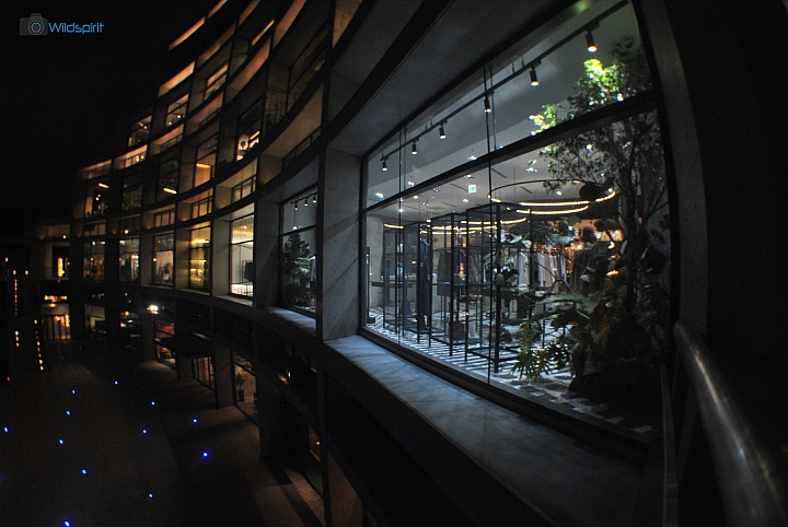 46年的慢速初代魚眼鏡【SPIRATONE 12mm f/8】