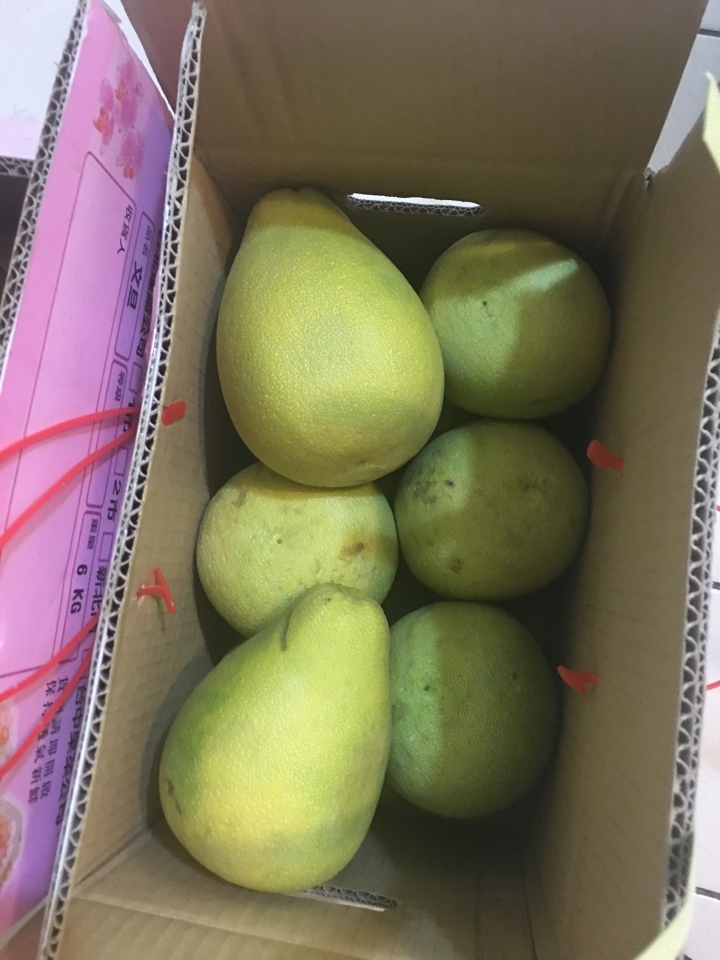 這個是40年老欉麻豆文旦嗎