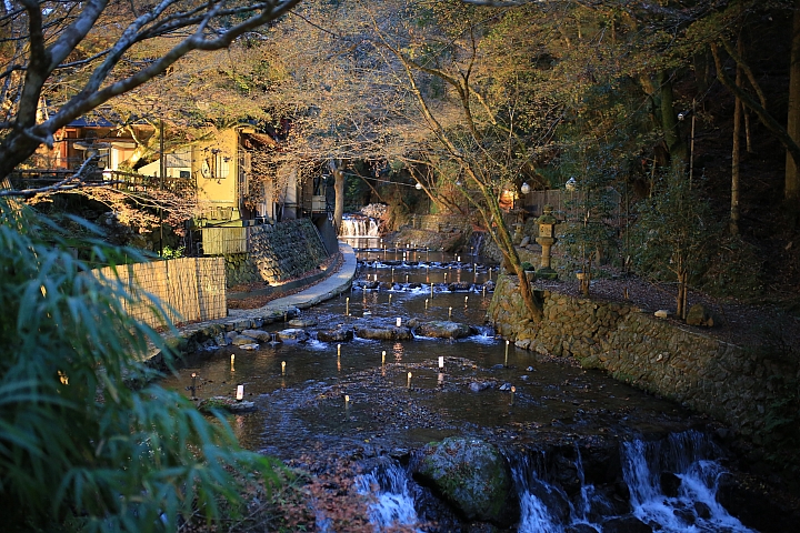 2018京阪神紅葉親子自由行