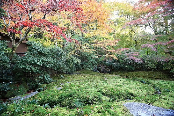 2018京阪神紅葉親子自由行