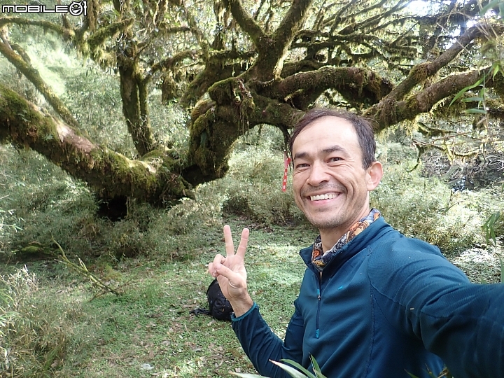 中央山脈大縱走17天(破紀錄)完百旅(904~920)(文長慎入)