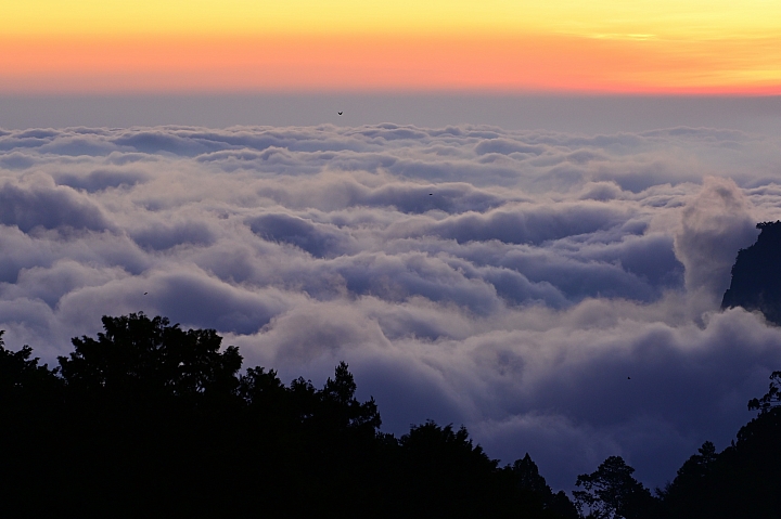 從阿里山晚霞雲海銀河日出，到以間隔定時拍攝南州雷雨風暴的醞釀過程。