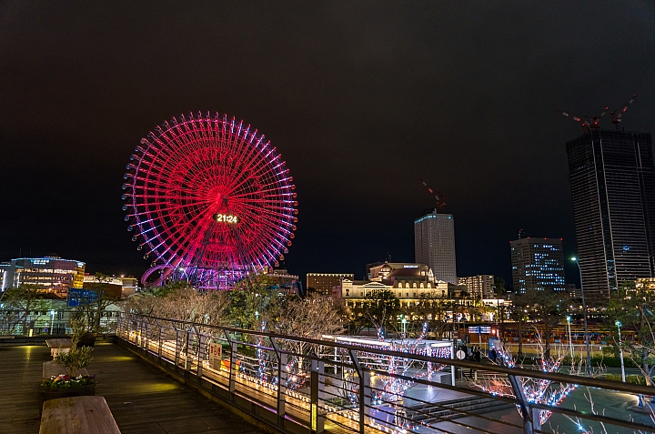 點我看大圖 2019 東京過年 (五天四夜行程分享) 文長圖多