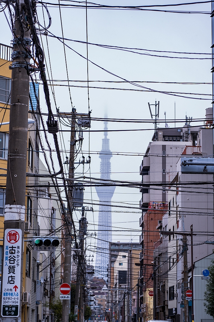 點我看大圖 2019 東京過年 (五天四夜行程分享) 文長圖多