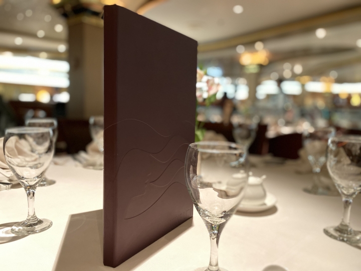 iPhone 11公主遊輪隨拍+錄影