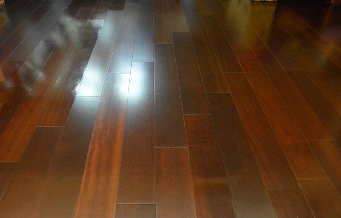 深色檀木地板清潔保養救星雷姬688分享