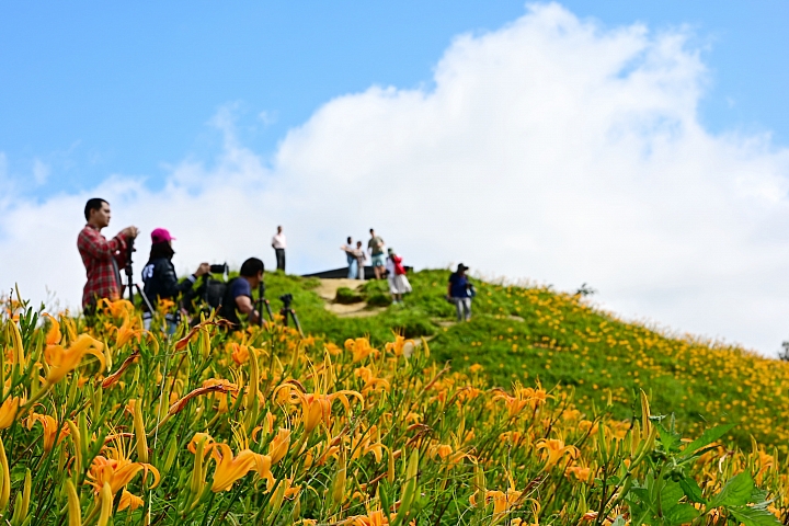 點我看大圖 六十石山實拍:旅遊只帶一顆85mm F1.8 S的可行性,算是還ok!但可能需要手機幫忙。
