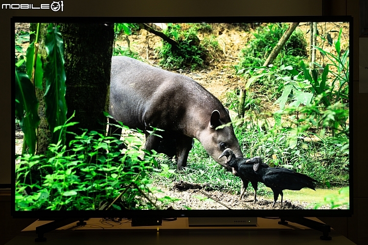 Sony BRAVIA MASTER KD-85Z9G 8K HDR 液晶電視 邁向畫質新『視』代！