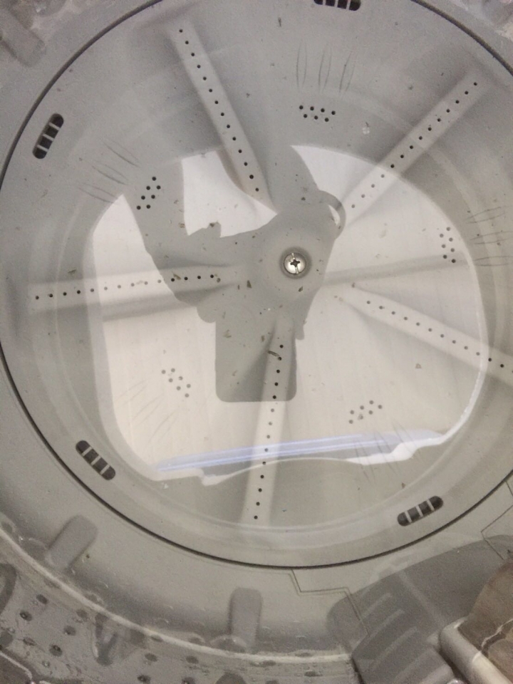 Gong 100 洗衣機清潔劑開箱實測評價