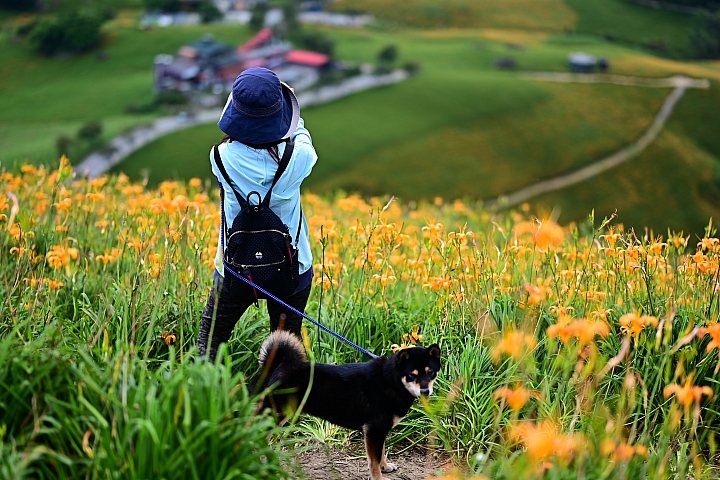 點我看大圖 六十石山實拍:旅遊只帶一顆85mm F1.8 S的可行性,算是還ok!但可能需要手機幫忙。