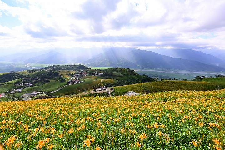 點我看大圖 六十石山實拍:旅遊只帶一顆85mm F1.8 S的可行性,算是還ok!但可能需要手機幫忙。