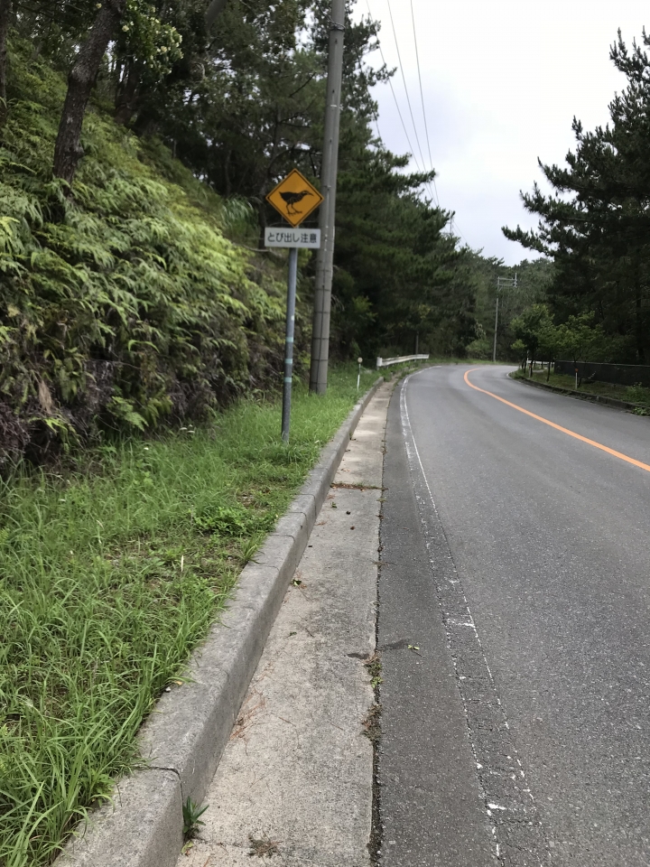 2019  6月沖繩 CB400SS  4極點環島