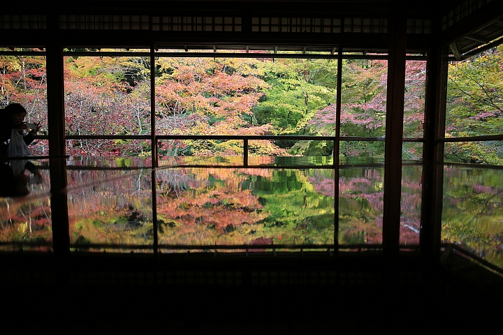 2018京阪神紅葉親子自由行