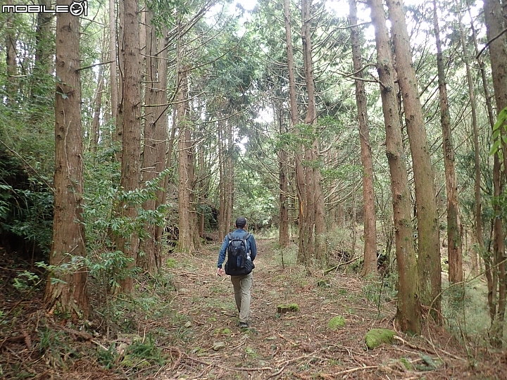 中央山脈大縱走17天(破紀錄)完百旅(904~920)(文長慎入)