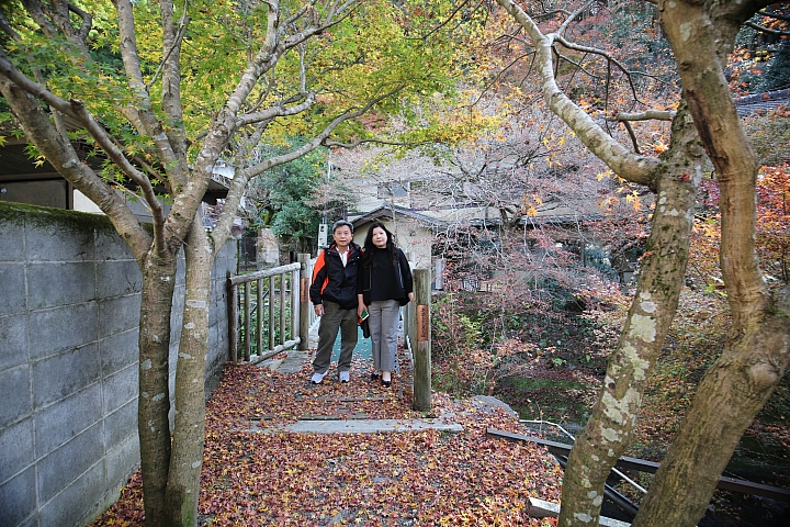 2018京阪神紅葉親子自由行