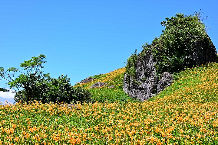 點我看大圖 六十石山實拍:旅遊只帶一顆85mm F1.8 S的可行性,算是還ok!但可能需要手機幫忙。