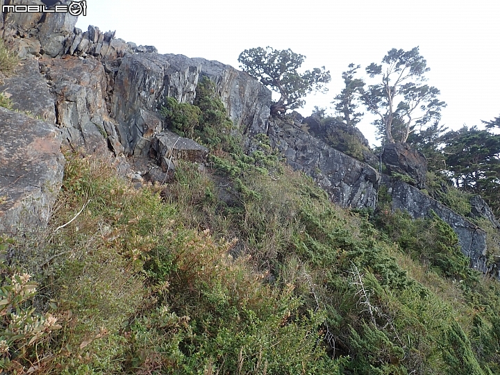 中央山脈大縱走17天(破紀錄)完百旅(904~920)(文長慎入)