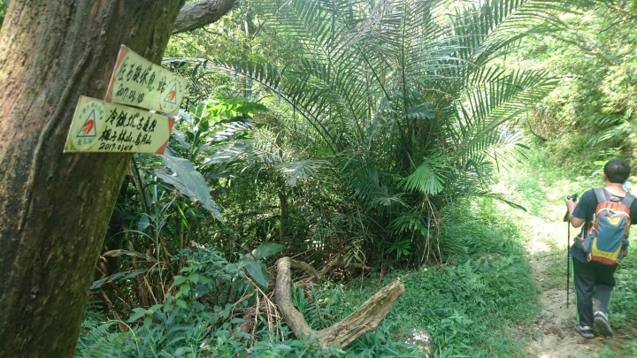 [樂山童盟] [新北石碇] 冷飯坑古道（冷飯坑山-楓子林山-烏月山）