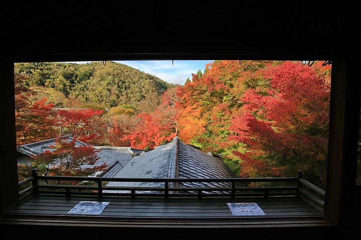 2018京阪神紅葉親子自由行