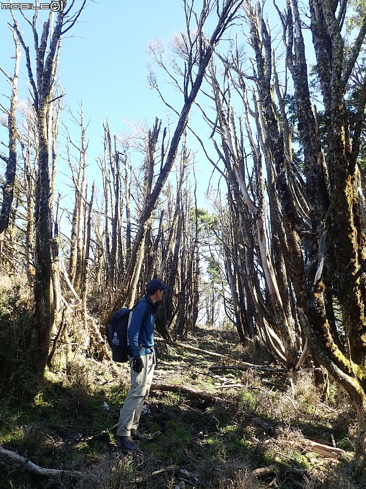 中央山脈大縱走17天(破紀錄)完百旅(904~920)(文長慎入)