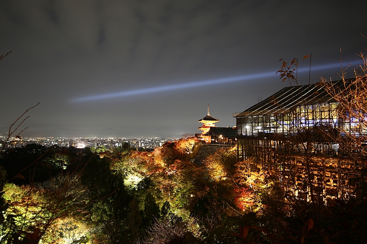 2018京阪神紅葉親子自由行