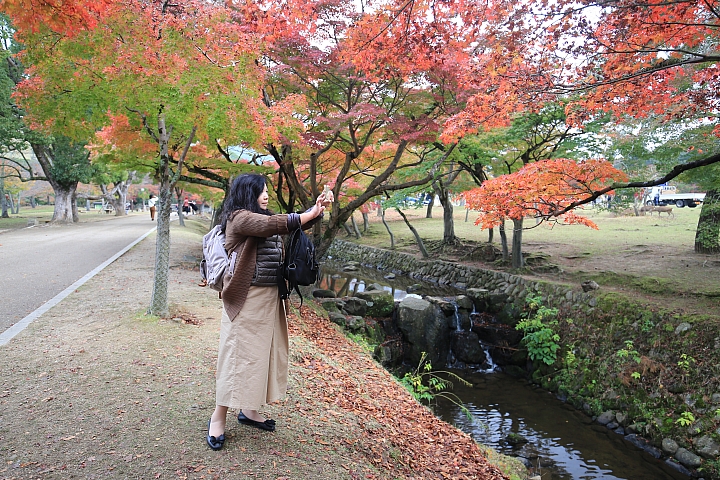 2018京阪神紅葉親子自由行