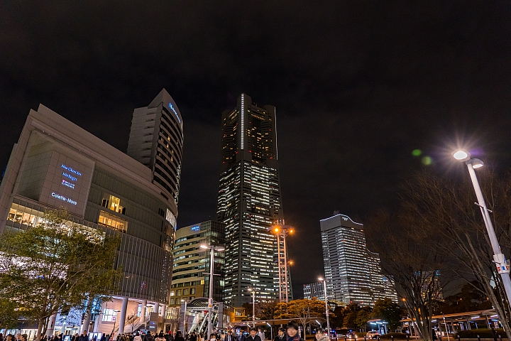 2019 東京過年 (五天四夜行程分享) 文長圖多