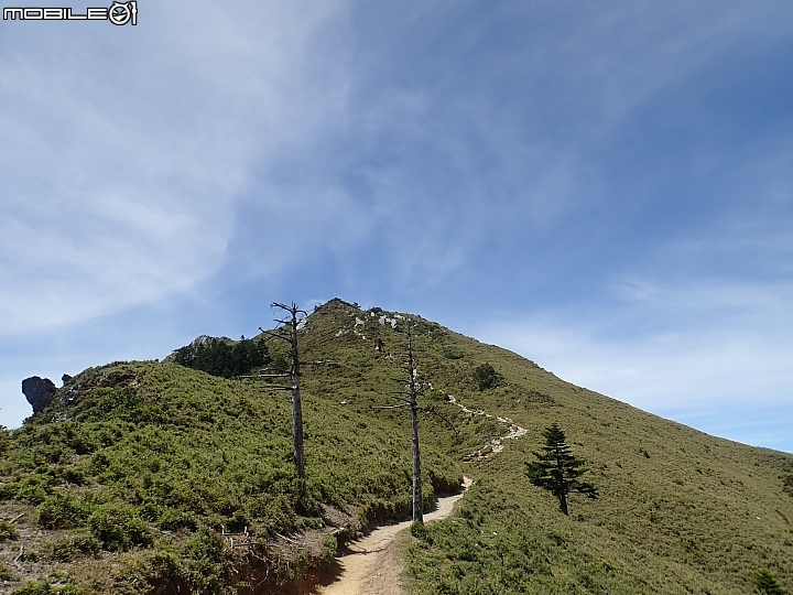 中央山脈大縱走17天(破紀錄)完百旅(904~920)(文長慎入)