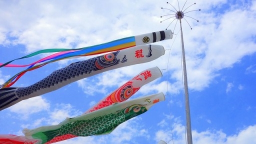 【遊玩】橫濱市泉區-しらゆり公園/和泉遊水地/境川遊水地公園/鯉のぼり大会