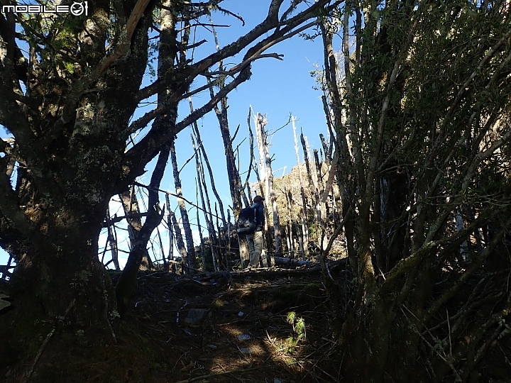 中央山脈大縱走17天(破紀錄)完百旅(904~920)(文長慎入)