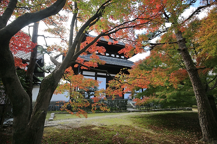 2018京阪神紅葉親子自由行