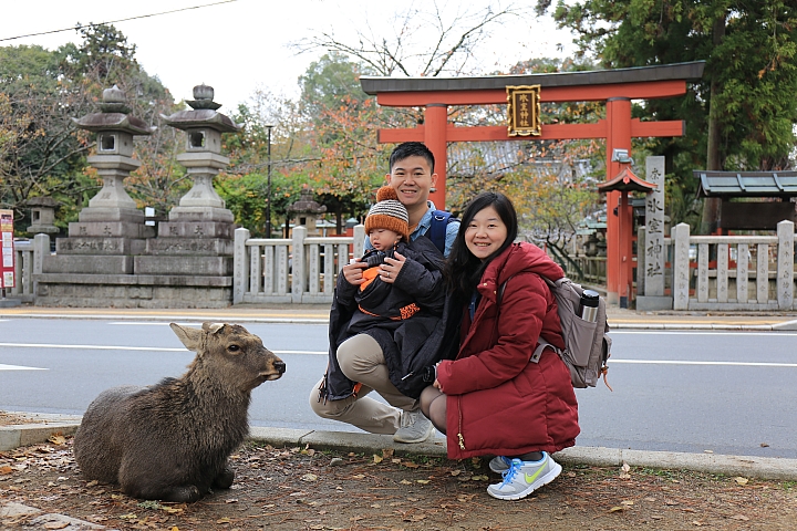 2018京阪神紅葉親子自由行