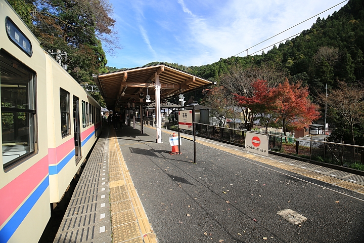 2018京阪神紅葉親子自由行