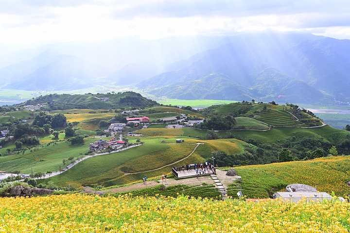 點我看大圖 六十石山實拍:旅遊只帶一顆85mm F1.8 S的可行性,算是還ok!但可能需要手機幫忙。
