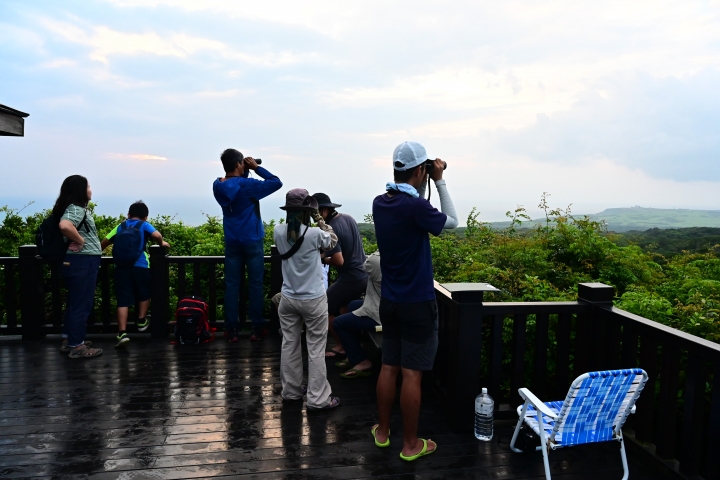 Z6/Z7影片記錄赤腹鷹過境南台灣往菲律賓方向飛,社頂公園凌霄亭好視野。