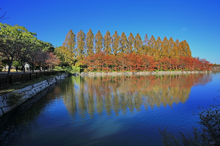 2018京阪神紅葉親子自由行