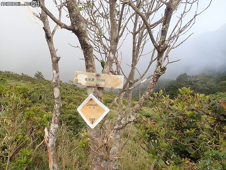 中央山脈大縱走17天(破紀錄)完百旅(904~920)(文長慎入)