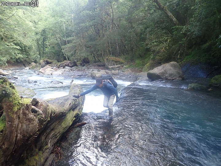 中央山脈大縱走17天(破紀錄)完百旅(904~920)(文長慎入)