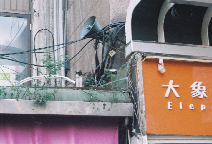 [Rollei Prego 90]帶著相機遊台北[Kodak 200]