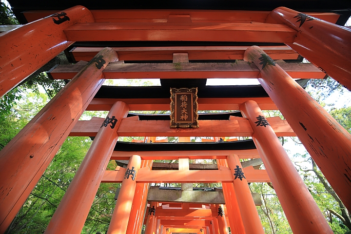 2018京阪神紅葉親子自由行