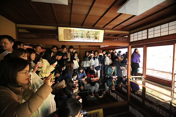 2018京阪神紅葉親子自由行
