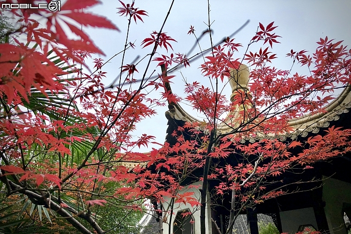 六朝古都 一眼南京