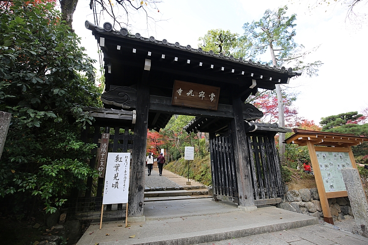 2018京阪神紅葉親子自由行