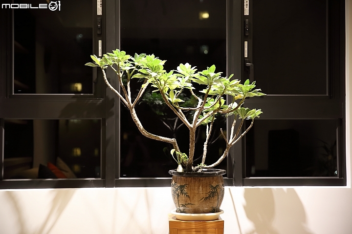 【開箱】我家客廳有一棵樹—我的實用簡約風格