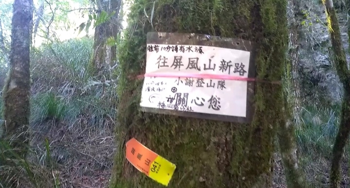 屏風山trail run