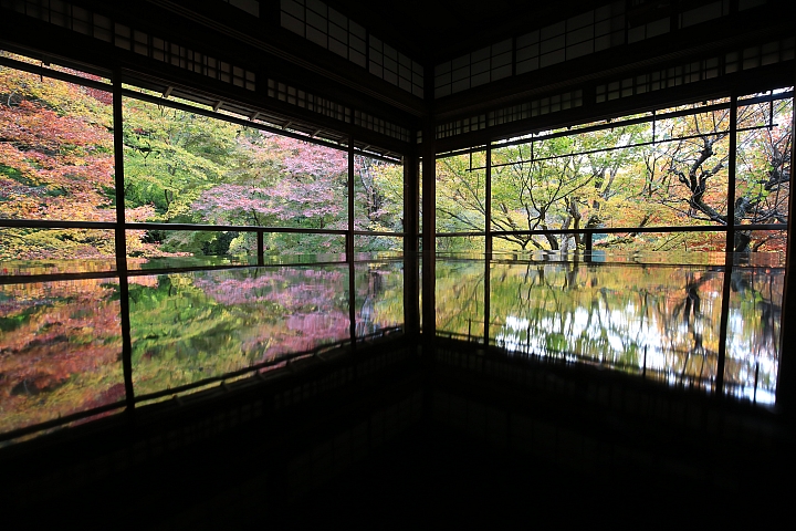 2018京阪神紅葉親子自由行