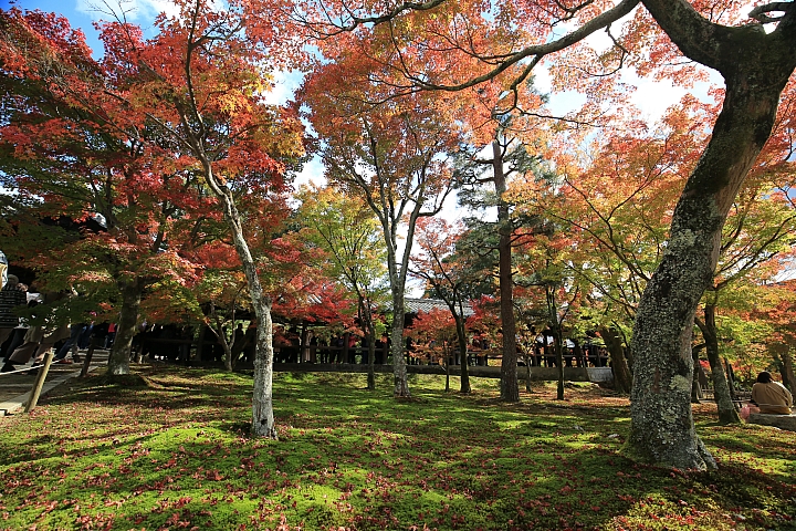 2018京阪神紅葉親子自由行