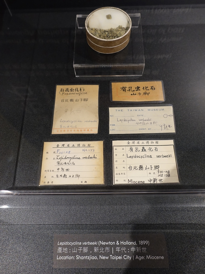 臺北市 中正區 國立臺灣博物館 — 全臺歷史最悠久的博物館